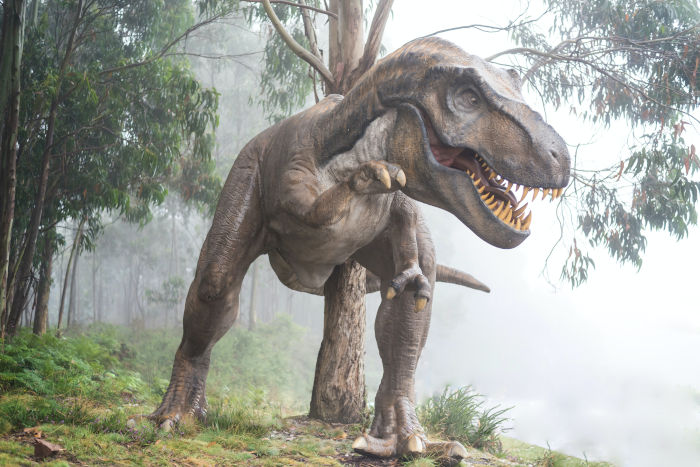 Dinosaur image
